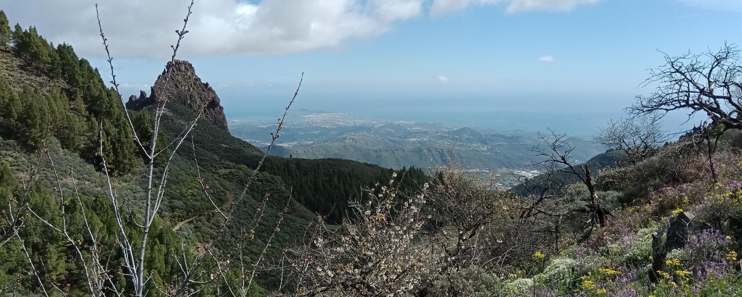 Extraordinary First Company Reunion in Gran Canaria for 2022