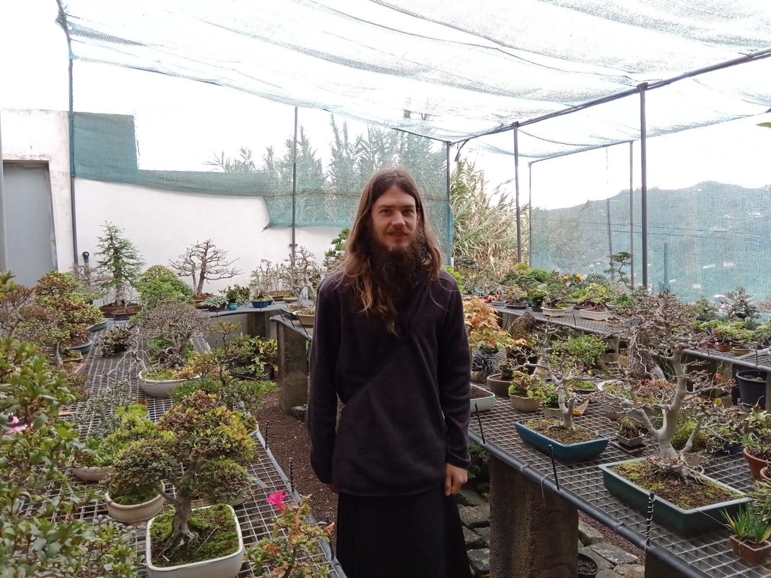 bonsai center 3